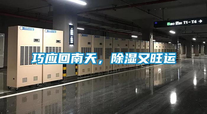 巧應回南天，除濕又旺運