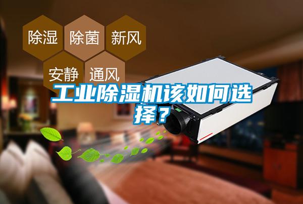 工業除濕機該如何選擇?