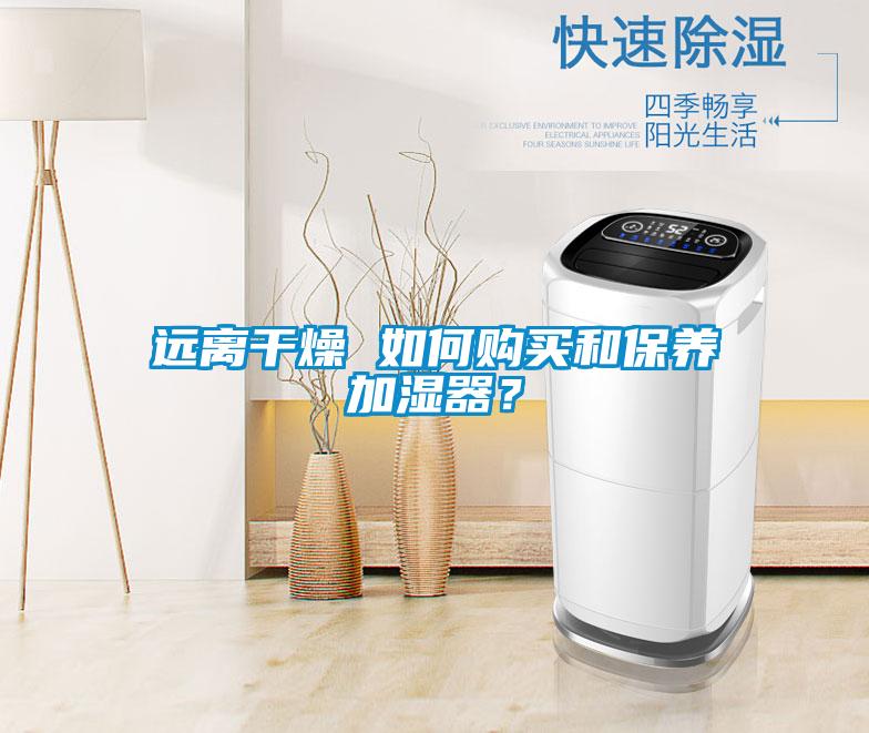 遠離干燥 如何購買和保養(yǎng)加濕器？