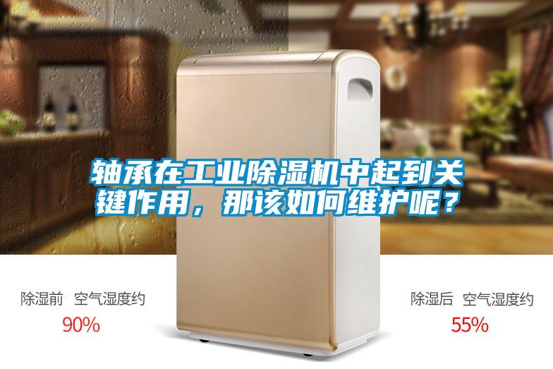 軸承在工業除濕機中起到關鍵作用,那該如何維護呢?