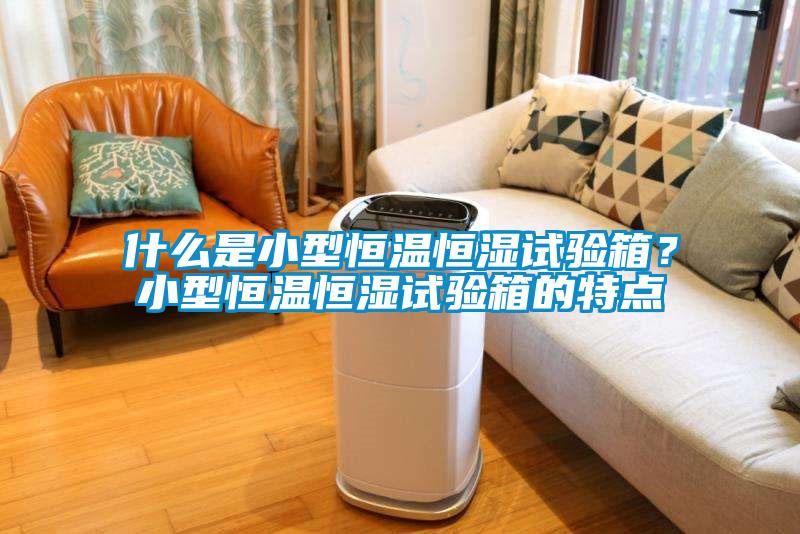 什么是小型恒溫恒濕試驗箱？小型恒溫恒濕試驗箱的特點