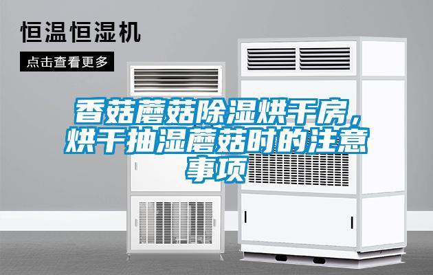 香菇蘑菇除濕烘干房,烘干抽濕蘑菇時的注意事項