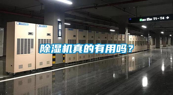 除濕機(jī)真的有用嗎?