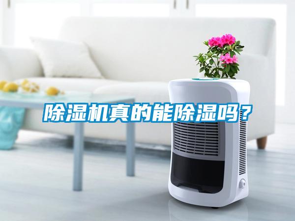 除濕機(jī)真的能除濕嗎？