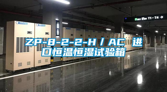 ZP-8-2-2-H/AC 進口恒溫恒濕試驗箱