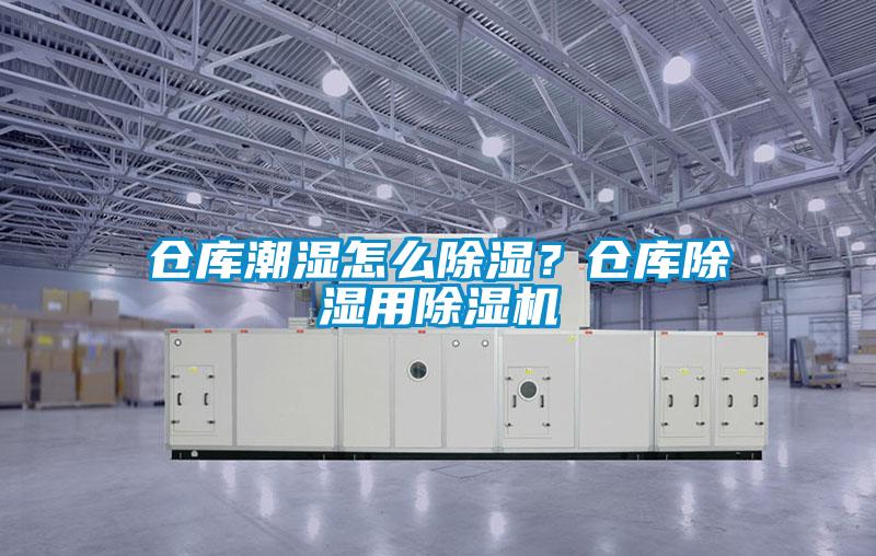 倉(cāng)庫(kù)潮濕怎么除濕?倉(cāng)庫(kù)除濕用除濕機(jī)