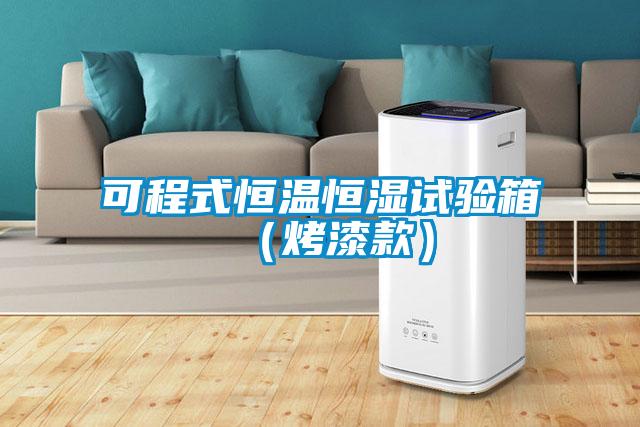 可程式恒溫恒濕試驗箱(烤漆款)