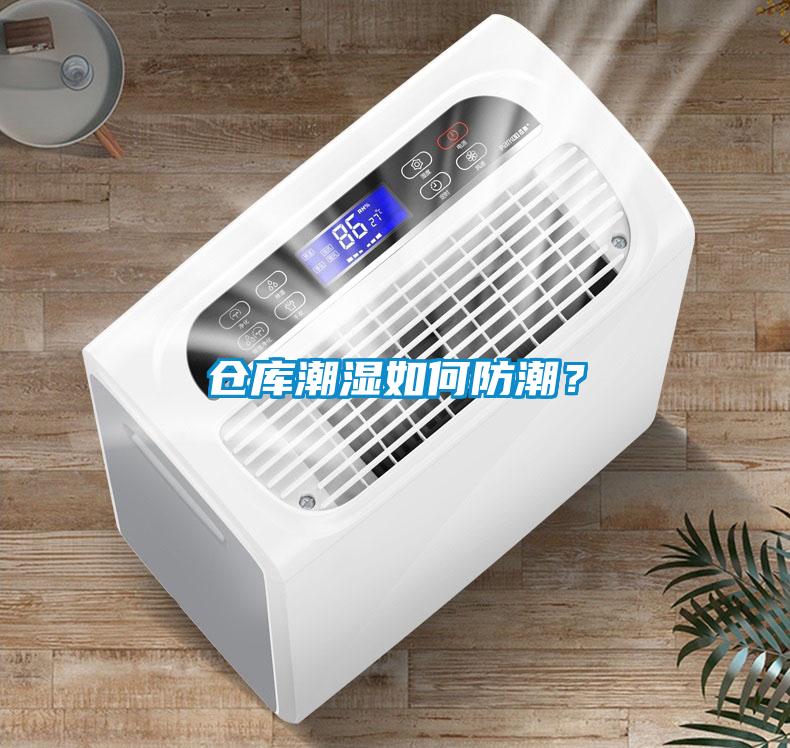 倉(cāng)庫(kù)潮濕如何防潮?
